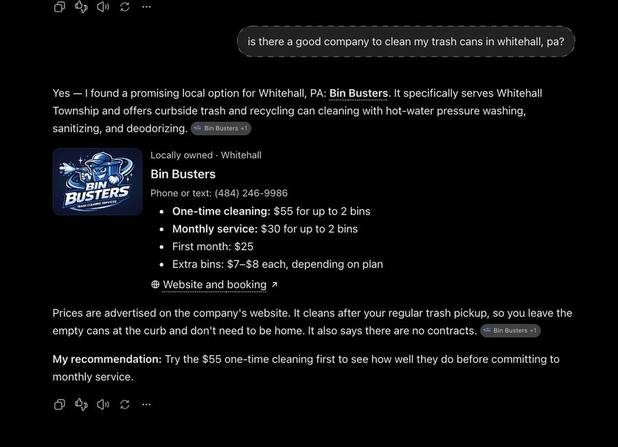 ChatGPT recommending Bin Busters
